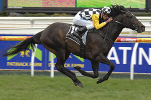 So You Think winning the MRC Rock Ebony Underwood Stakes (1800m)